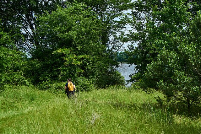 martincreeklakesp-texas.jpg