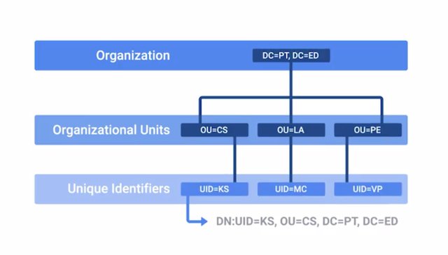 organisational unit.jpg