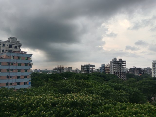1000170740.jpg