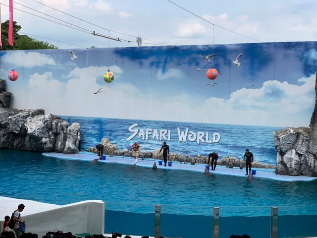 Safari World19.jpg