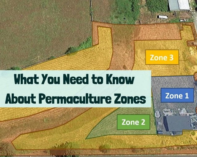 permaculture-zones-featured-731x582.jpg