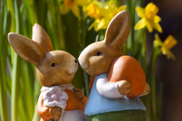 easter-bunny-easter-rabbit-bunny-couple-69816.jpeg