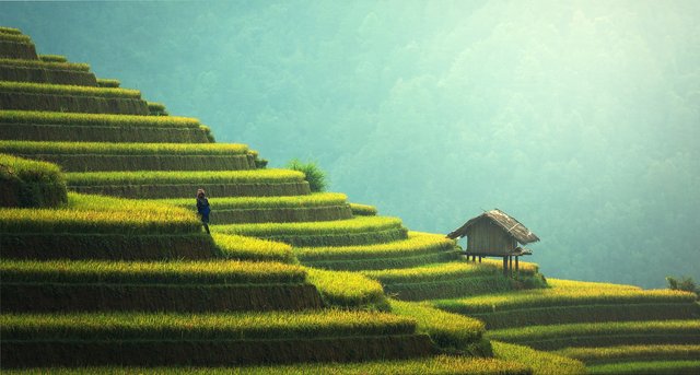 thailand-agriculture