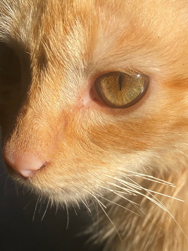 image.jpeg