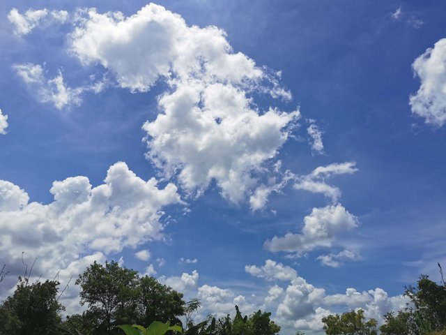 IMG_20240831_125635.jpg