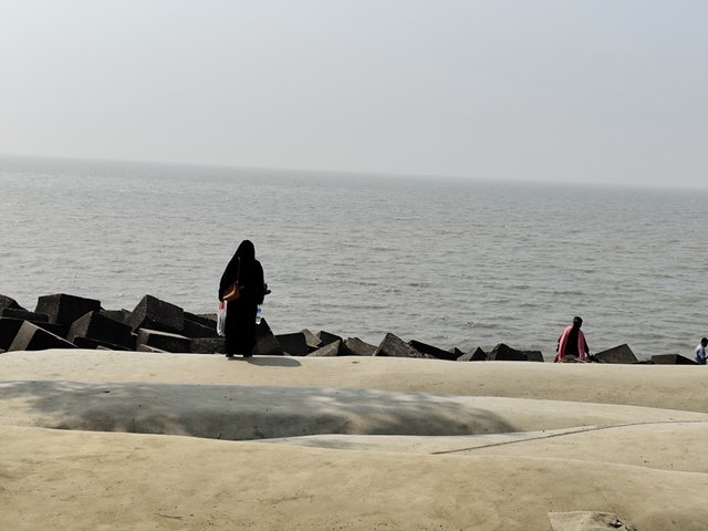 IMG_20250224_123136.jpg