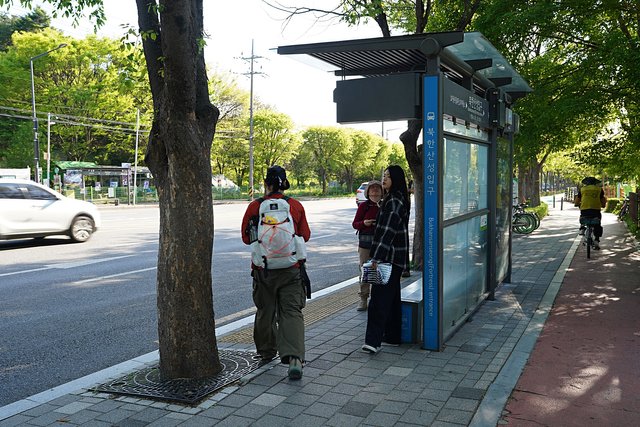 DSC08899.JPG
