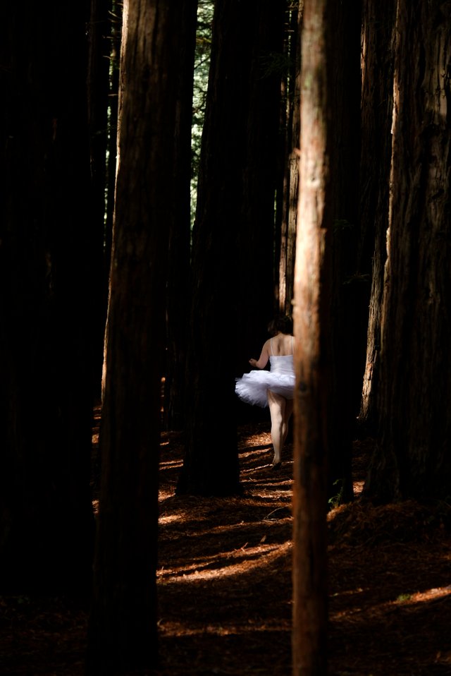 Ballerina in Forest.jpg