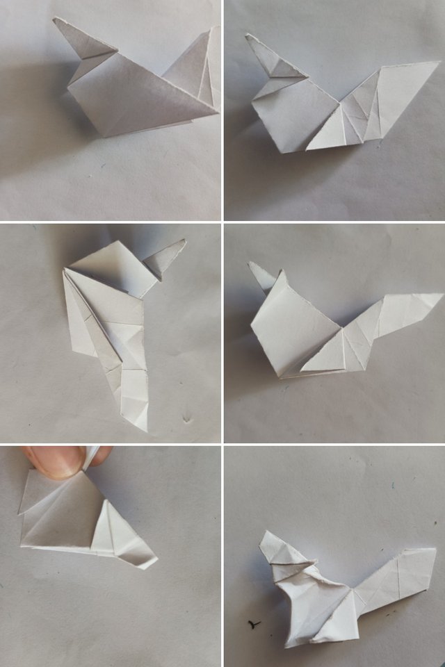 20250721_181837-COLLAGE.jpg