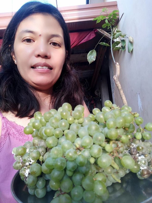 grapes1.jpg