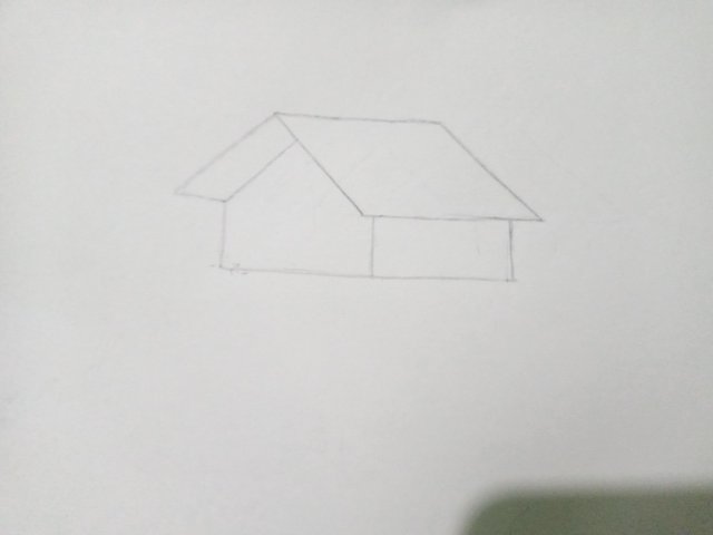 IMG20250201091705.jpg