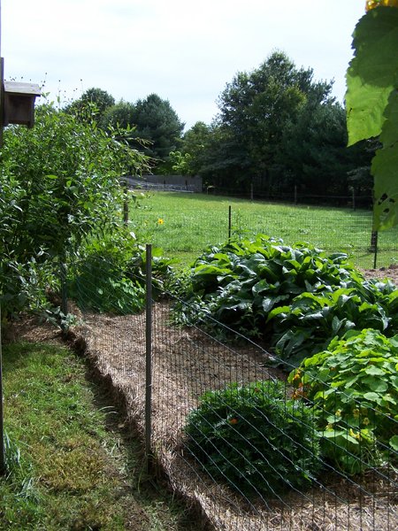 Big garden - finished looking east crop Sept. 2018.jpg