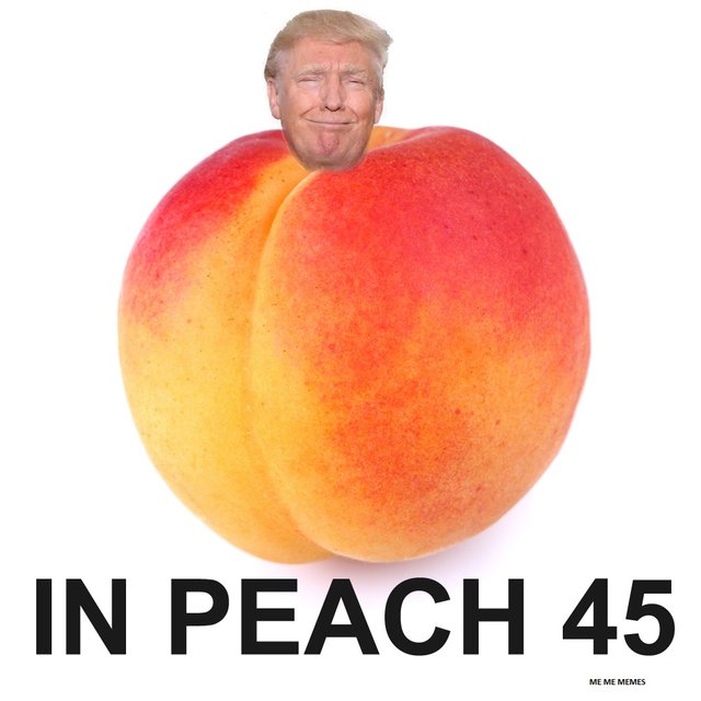 IN PEACH 45.jpg