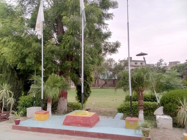 1000054315.jpg
