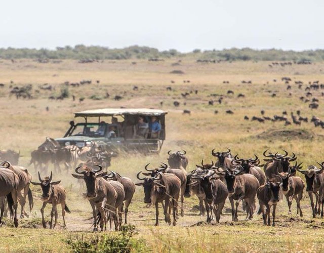 Tip for combining Kenya Tanzania tours focused on great migration.jpg