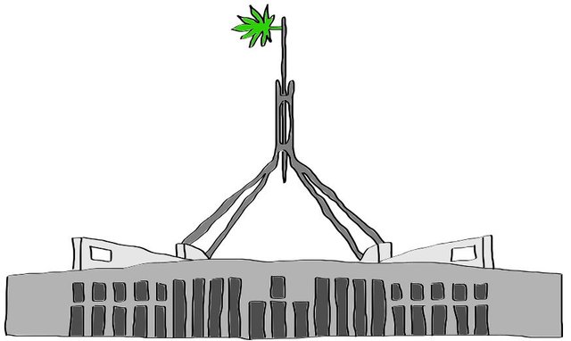 canberra cannabis.JPG