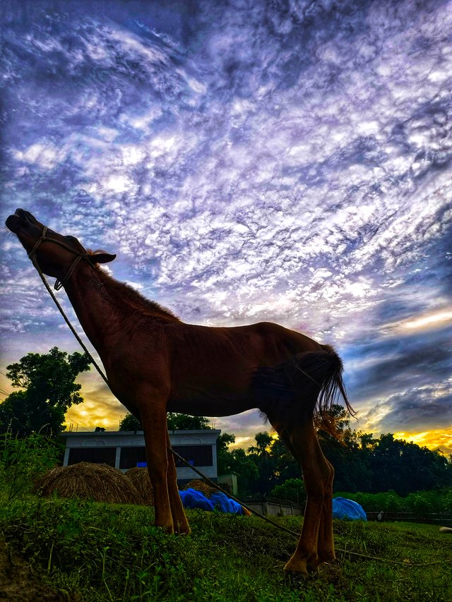 IMG_20250710_181834 (1).jpg