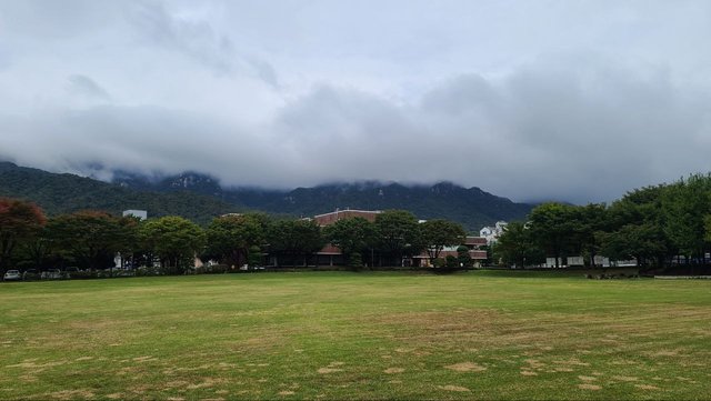 IMAGE 2025-11-03 01:07:50.jpg