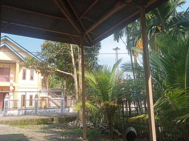 IMG20250120093149.jpg