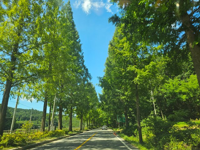 20250726_102748.jpg
