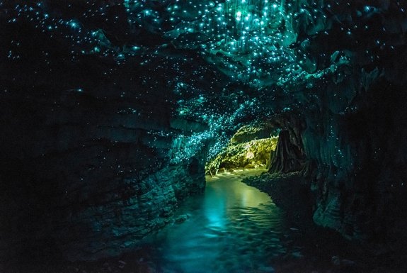 Glow-worm-cave-new-zealand.jpg