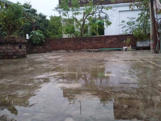 IMG20230523183017.jpg