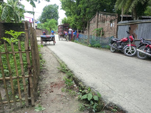 IMG_20250625_122142_208.jpg