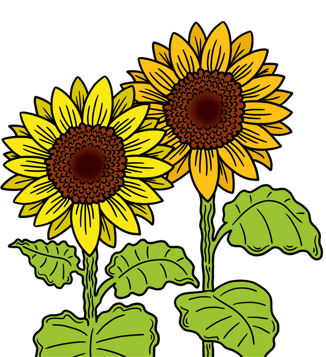 sunflower.png