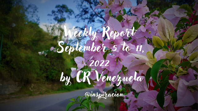 Weekly Report July 18 to 24, 2022 by CR Venezuela (7).png