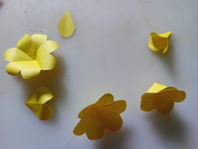 1000038563.jpg