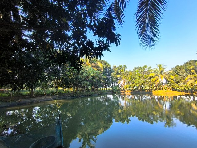 5100.jpg