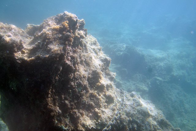 Corfu_Under_Water_Series_ph015a_s.jpg