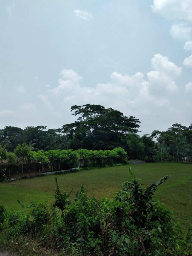 20250609_114812.jpg