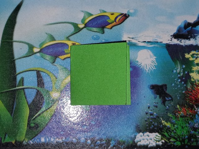 20250422_115918.jpg