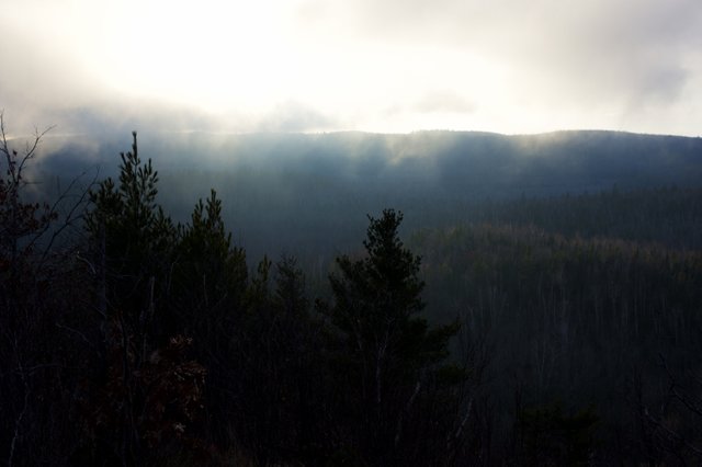 Bean Lake Fog.jpg