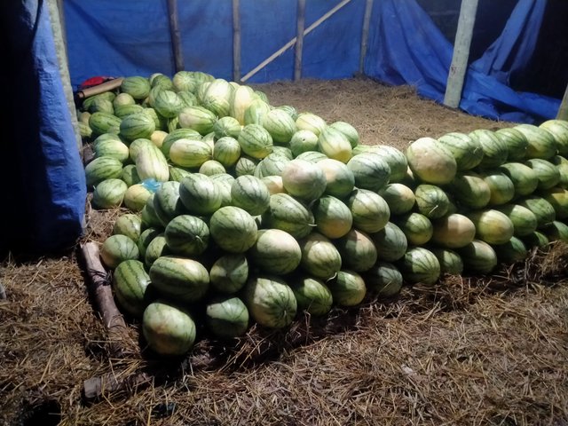IMG20250302004119.jpg