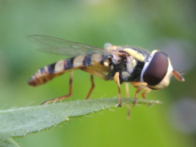 IMG_20210826_175128.jpg
