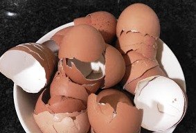 Cascaras de huevos.jpg