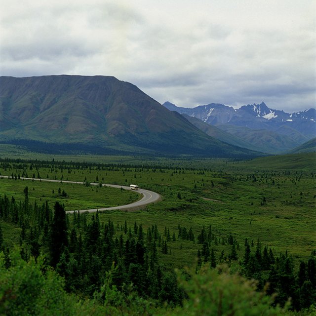 denali023-aviatorlee.jpg