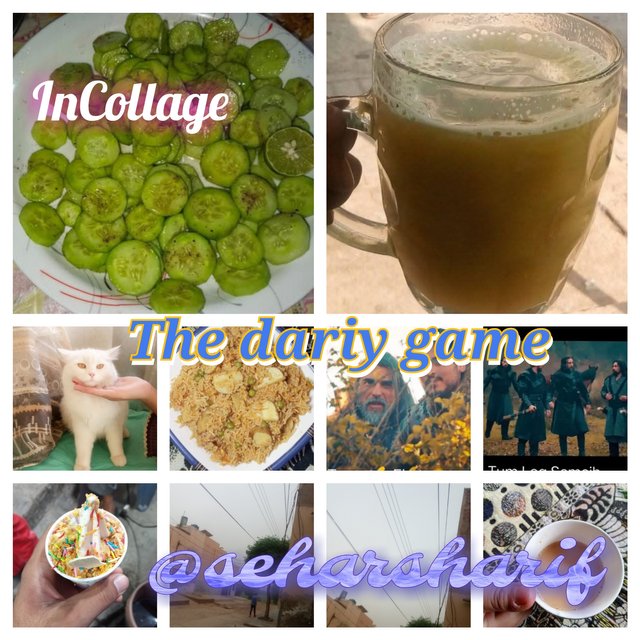 InCollage_20250514_222208015.jpg