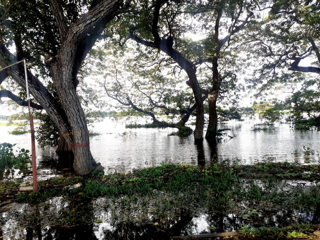 20250802_143228.jpg