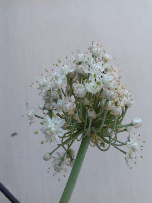 20190501_121527.jpg