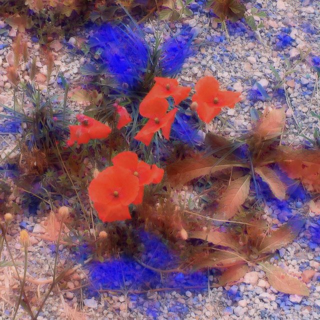 IMG0380negativeart1.jpg