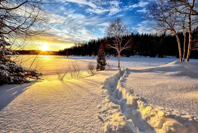 winter-landscape-636634_1280.jpg