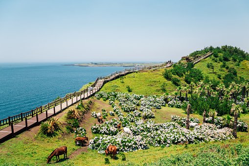 songaksan-mountain-trail-with-sea-in-jeju-island-korea.jpg