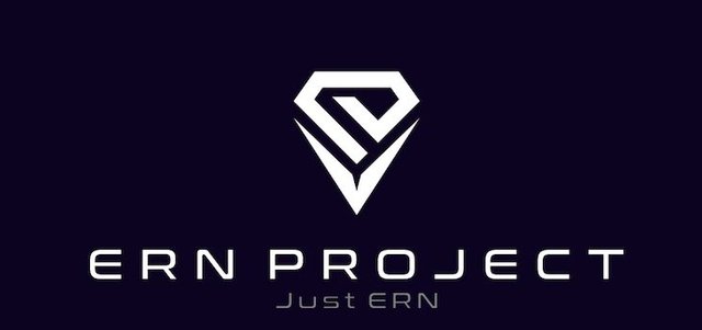 erntoken-ico-730x343.jpg