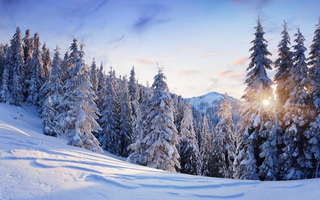 nature-landscapes-trees-forest-mountains-winter-snow-seasons-sun-sunlight-sky-clouds-white-cold-best.jpg