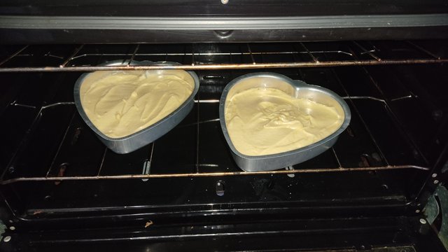 IMG_20250425_173233.jpg