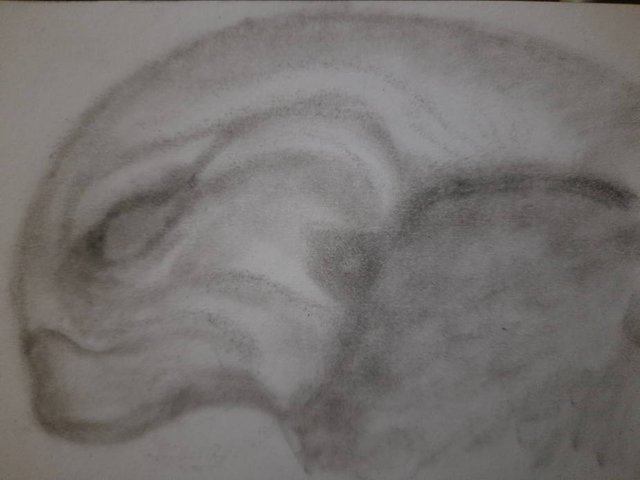 20250719_104149.jpg