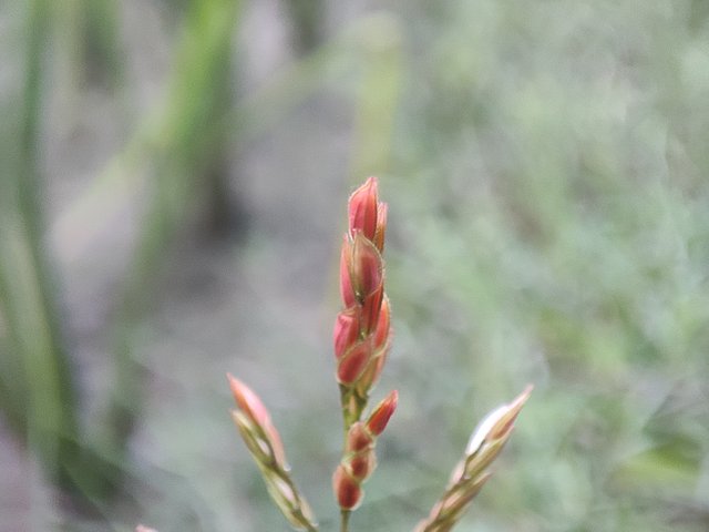 IMG_20250801_182157.jpg